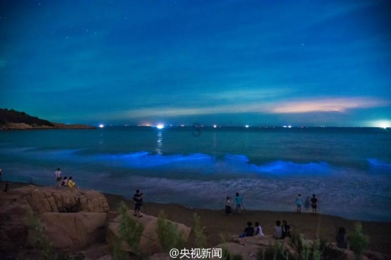 酸奶可以浇花吗?要不要加水游戏画面
