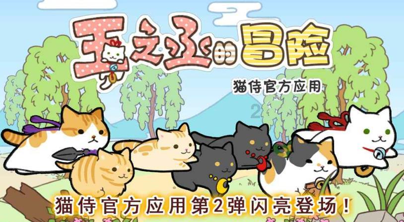 星动，只为你